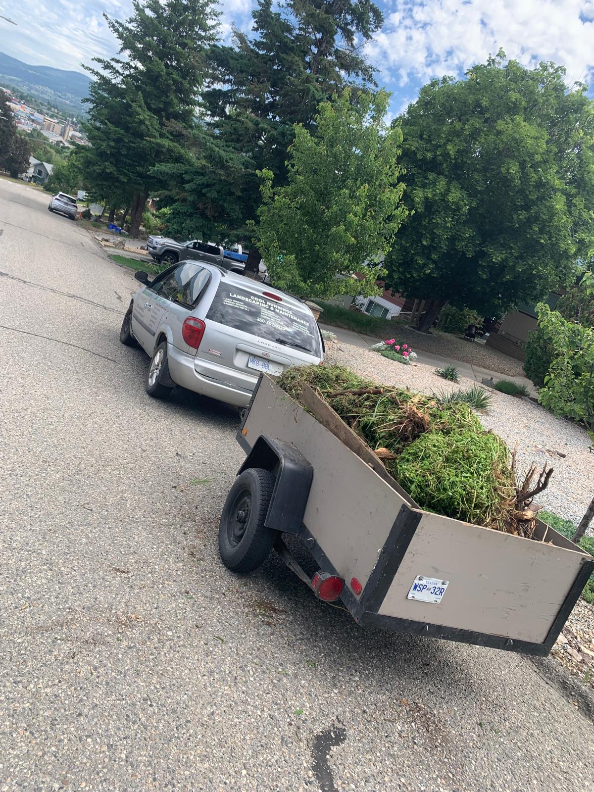 Before landscaping work