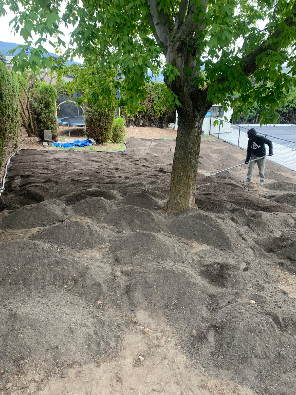 Before: rough bare soil being raked and graded for lawn seeding