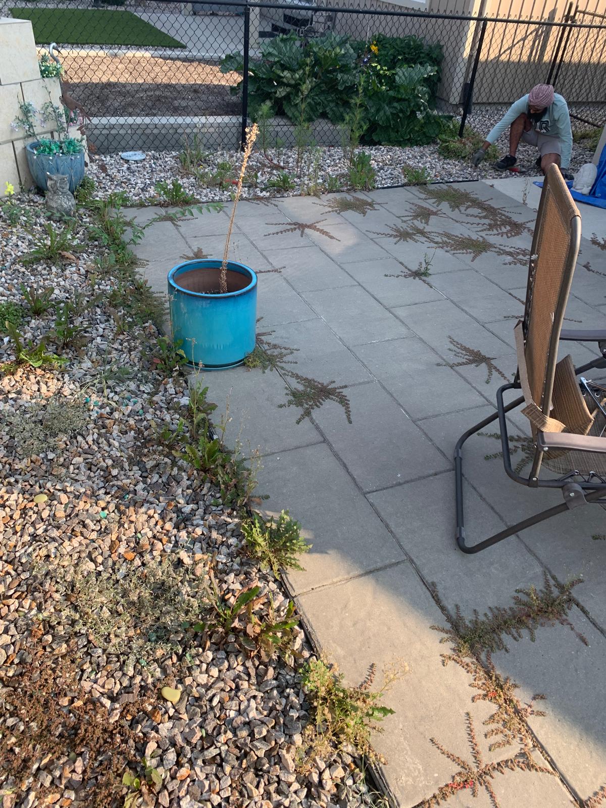 Before landscaping work