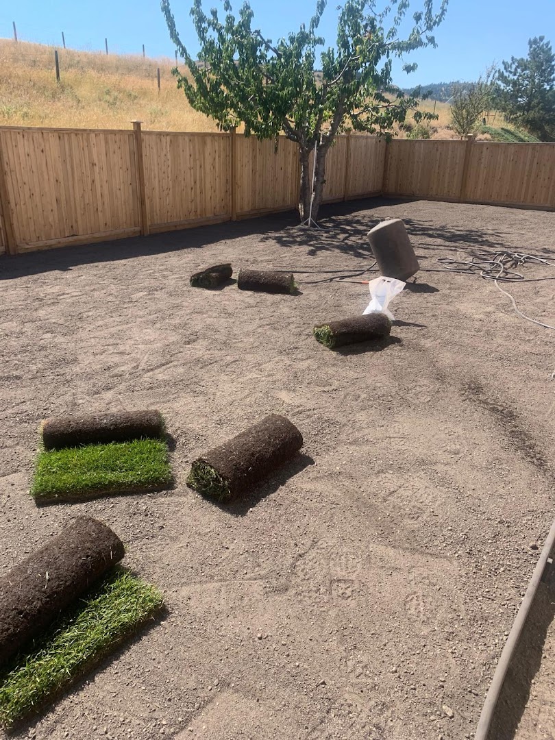 Professional Landscaping Work