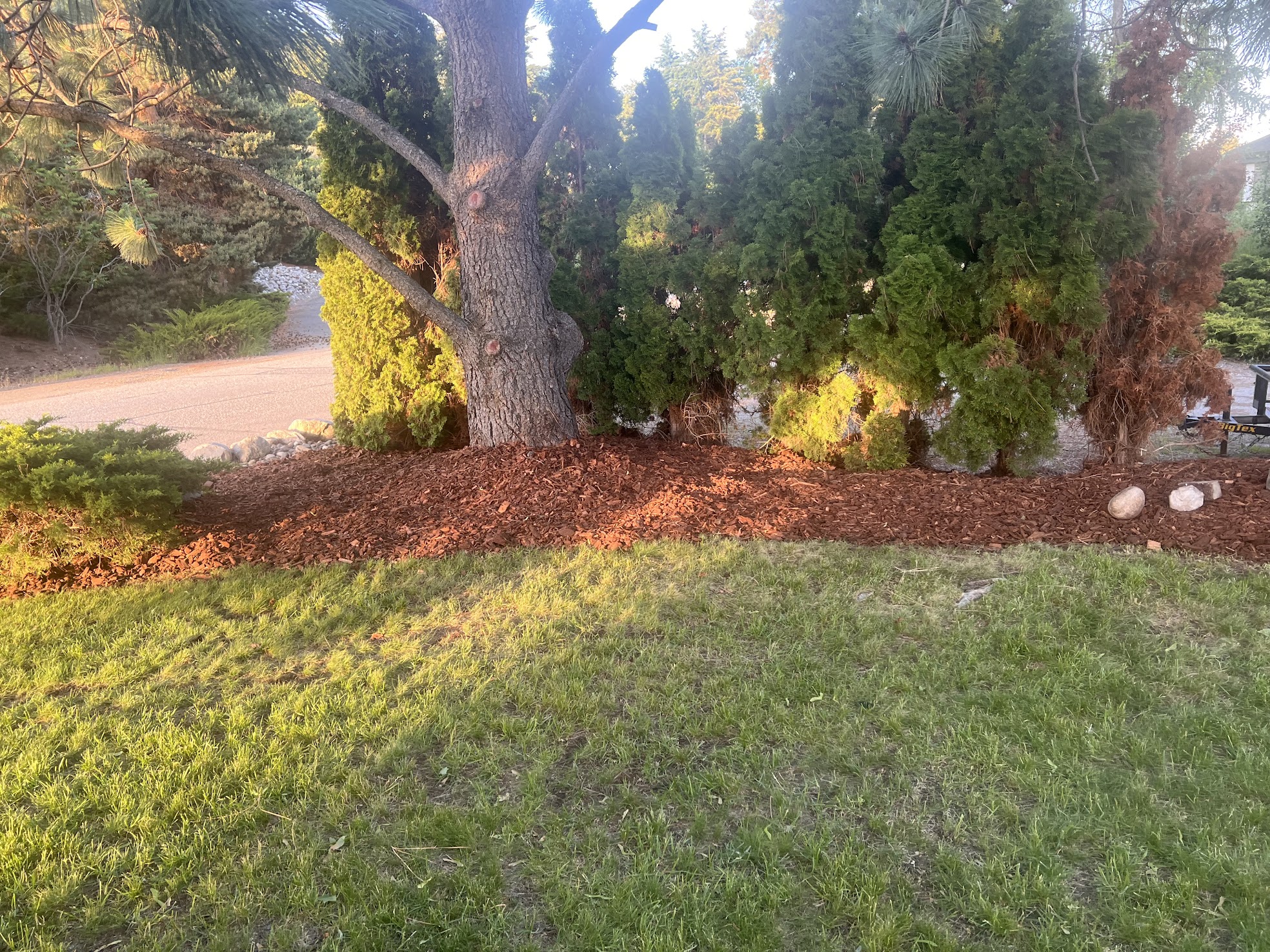 Landscaping Work